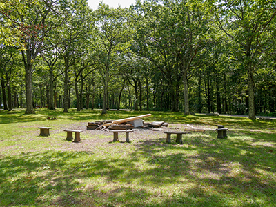 Standing at the OAK TREE LODGE coordinates, looking toward the fire pit.