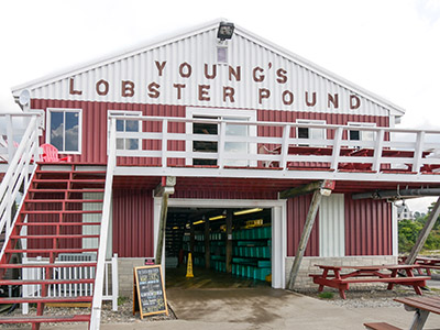 Our next major pit-stop for lunch in Belfast, ME.