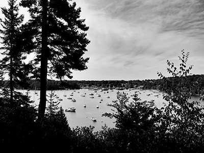 A view of Northeast Harbor from the Terraces trail