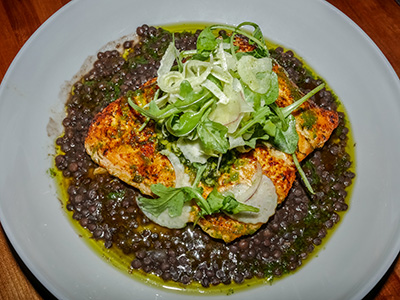 Seared Salmon with French lentils, fennel salad & lemon arugula pesto