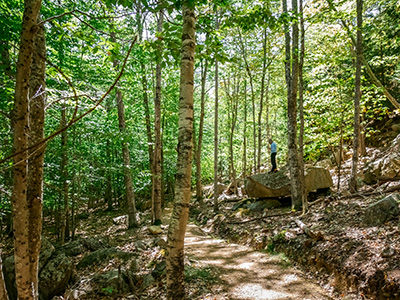 Hiking along the Stratheden Path