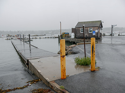 Looking E toward Bass Harbor