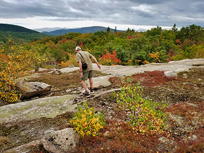 Rich wanders around Great Hill summit in search of photos ...