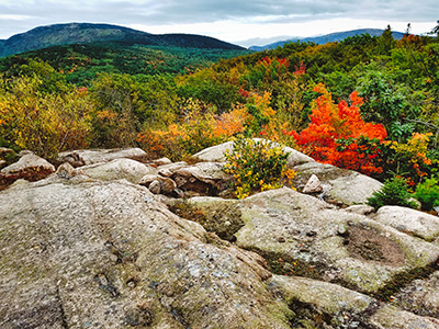 Champlain and Cadillac mountains as seen from Great Hill