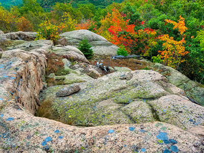 … but Zhanna finds an even more colorful scene.