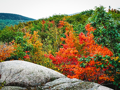 Great Hill where Autumn is beginning to make an appearance