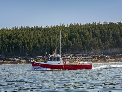 Lobster boat in Henry Cove at Winter Harbor