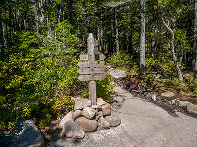 At its eastern end, the new Otter Cove Trail intersects the Gorham Mountain Trail.