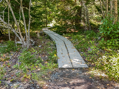 A bogwalk leads out to Otter Cliff Road.