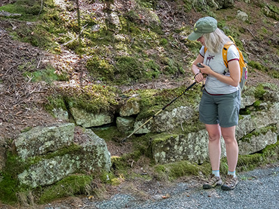 Stone steps off the Day Mountain carriage road indicate the old trailhead.