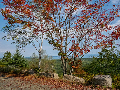 More signs of Autumn along the Day Mountain carriage road