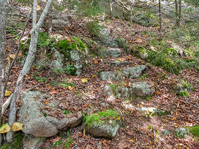 Stone steps from another abandoned trail—most likely the Ox Hill to Day Mountain Summit trail