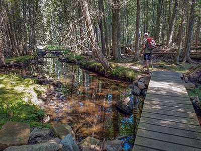 Crossing Hadlock Brook