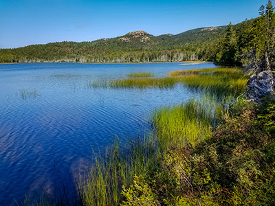 Upper Hadlock Pond, shoreline scene