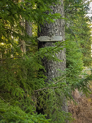 A carved sign indicates the beginning of the abandoned Brown Mountain Trail