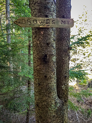 A second sign also marks the trailhead!