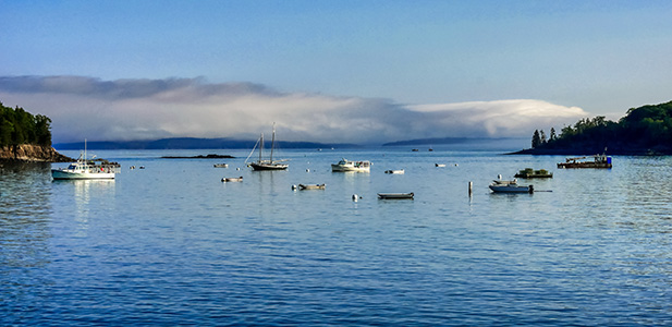 Morning fog hanging low over Frenchman Bay