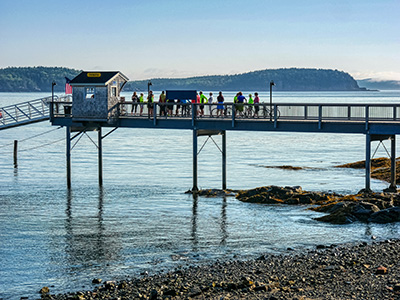 Passengers waiting to board the Winter Harbor ferry