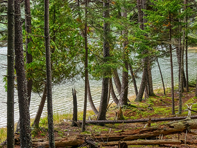 Shoreline scene, Hadlock Ponds Trail, Lower Hadlock Pond