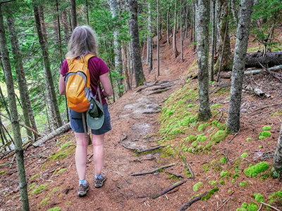 Hiking the Hadlock Ponds Trail, Lower Hadlock Pond