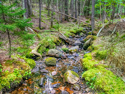 Hadlock Brook