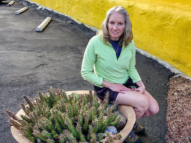 We found this pot full of Echinocereus next to the restaurant!