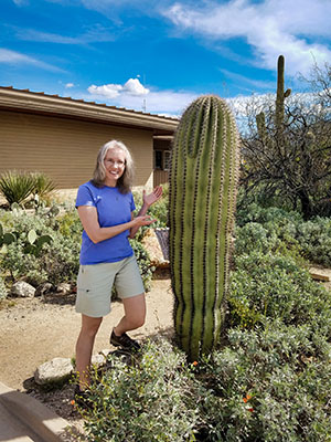 A plump saguaro near the visitors center