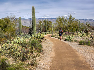 The Mica View Trail. Although the area was busier than we've seen it in the past, we still had the place mostly to ourselves.