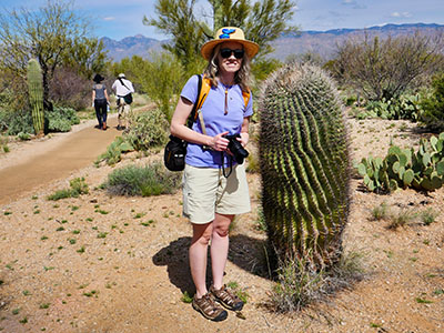 A very mature Ferocactus specimen alongside the Mica View Trail