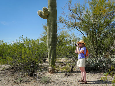 Standing like a saguaro