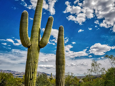 We don't see many blue skies like this at home.