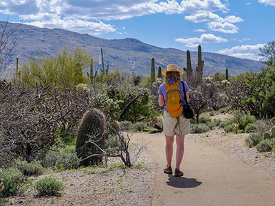 Deeper into the cactus forest