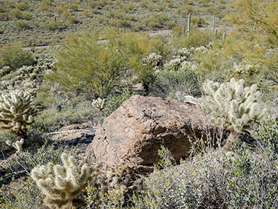 Eyelevel view of the disk on the boulder