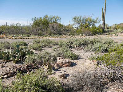 Looking SW toward Kinney Road. Remnants of concrete structure are visible behind mark.