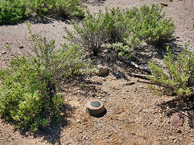 Eyelevel view of the disk on the concrete post