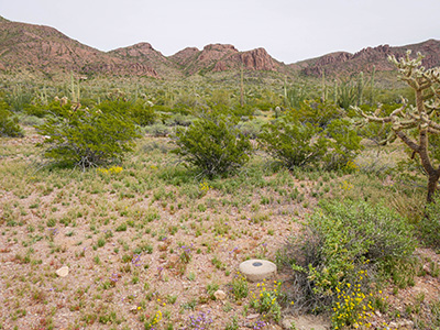 View from the old road