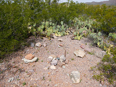 Eyelevel view of the disk on the rod, surrounded by rocks