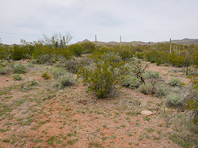 Reference mark at lower right, looking W toward station (upper left)