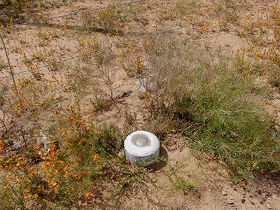 Eyelevel view of the disk in the concrete post