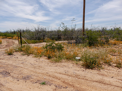 Looking SE toward the mark