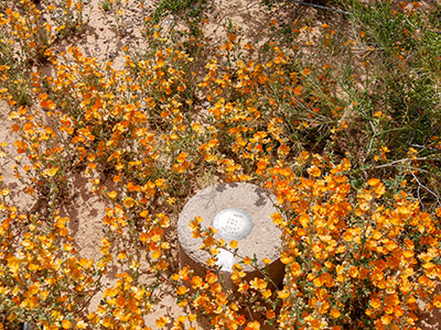 Eyelevel view of the disk on the round concrete monument