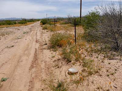 Eyelevel view of the disk; looking E along fenceline