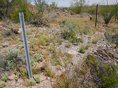 The monument is set along a fenceline.