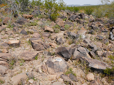 Eyelevel view of the RM disk on boulder