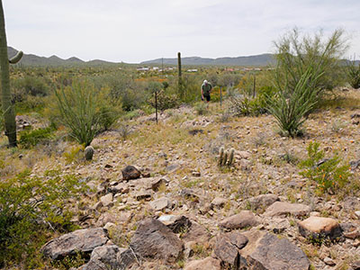 Looking SW toward the station