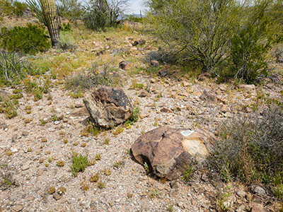 Eyelevel view of the RM disk on the boulder