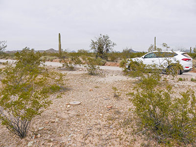 Looking N toward Puerto Blanco Drive