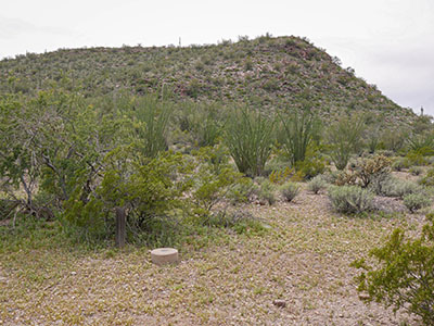 Looking SW toward a small ridge