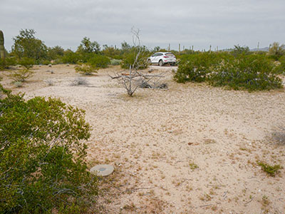 Looking NNW toward Puerto Blanco Drive