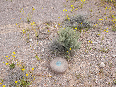 Eyelevel view of the disk on the concrete monument